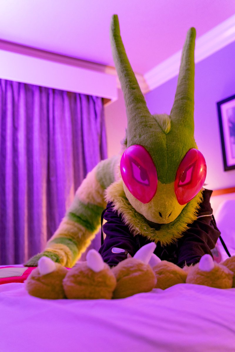 🍃 Bee 🍃 🔜 LVFC tweet media