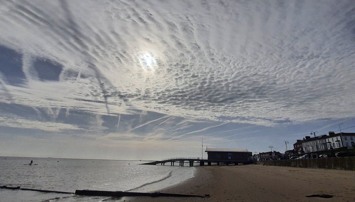 Paul Harding 🏴 Enough Is Enough tweet media