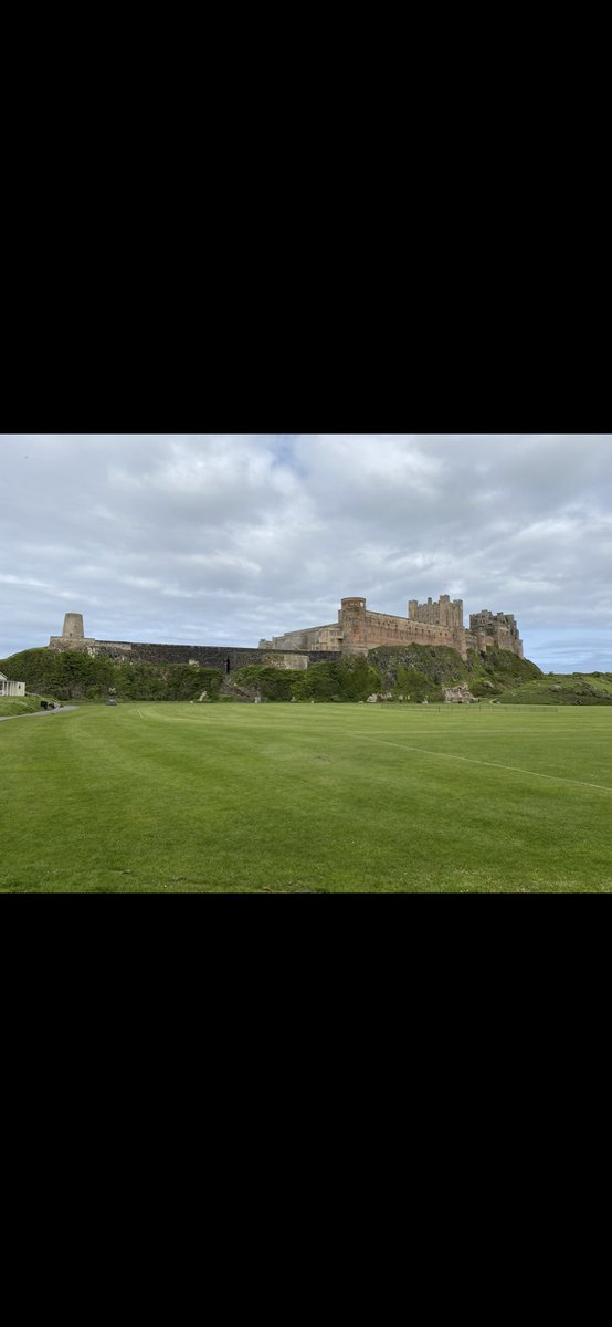 BD12 White tweet media