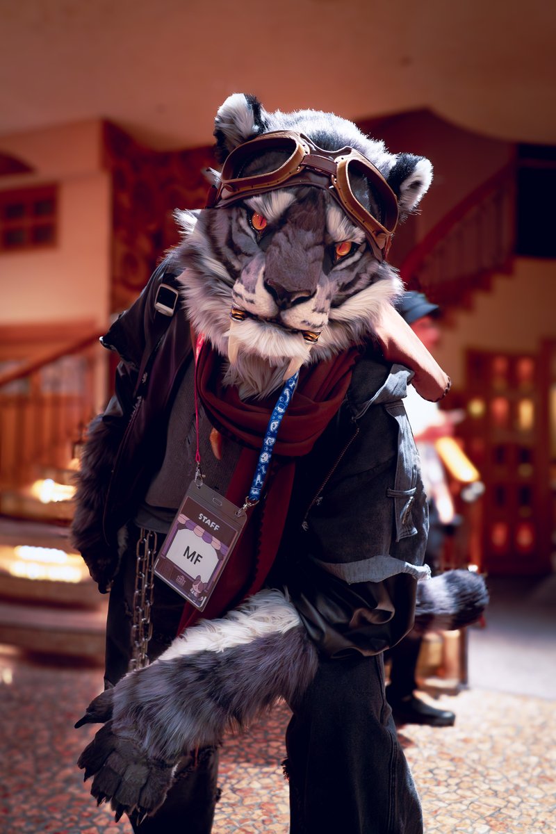 청사진🔜Fur:Raid? tweet media