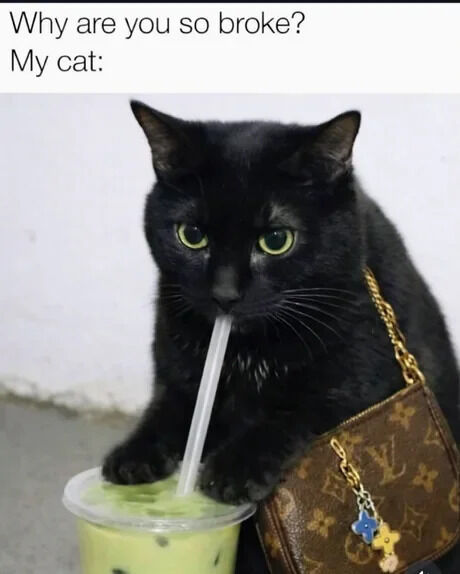 WholesomeMemes tweet media