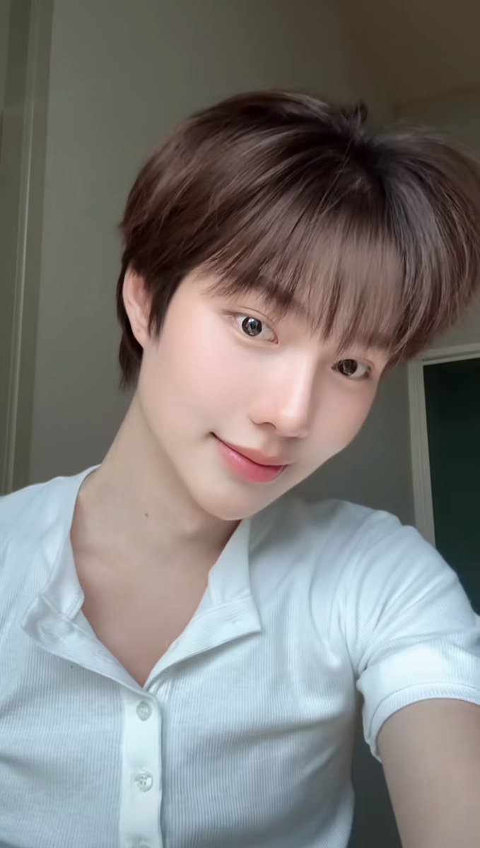 ก๊องแก๊งค์ ‎₍ᐢ ̥ ̞ ̥ᐢ₎ tweet media