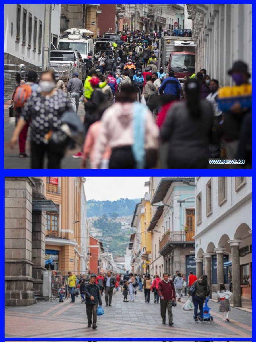 Infomedia 593 tweet media