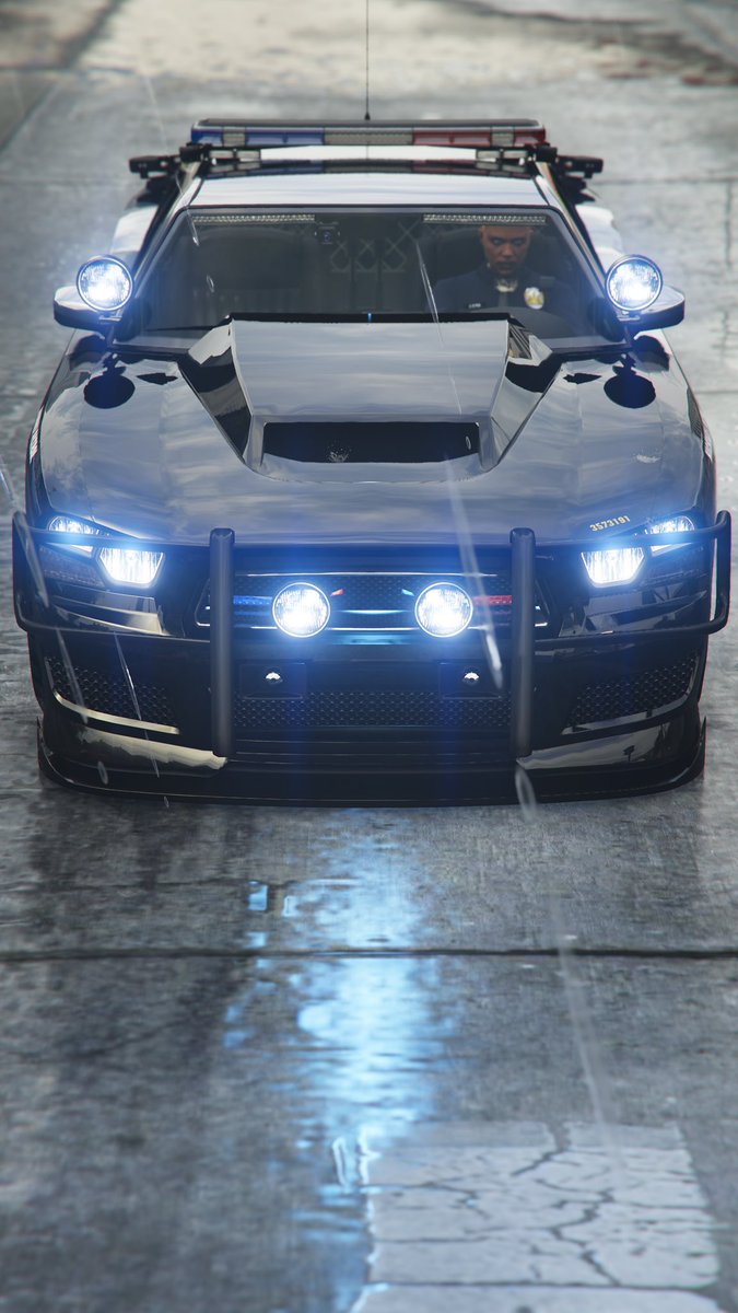 XermZander tweet media