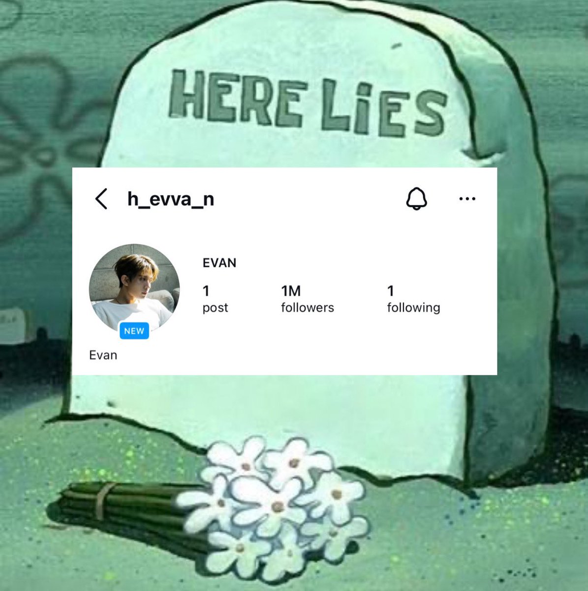 hae🦇sevEN tweet media