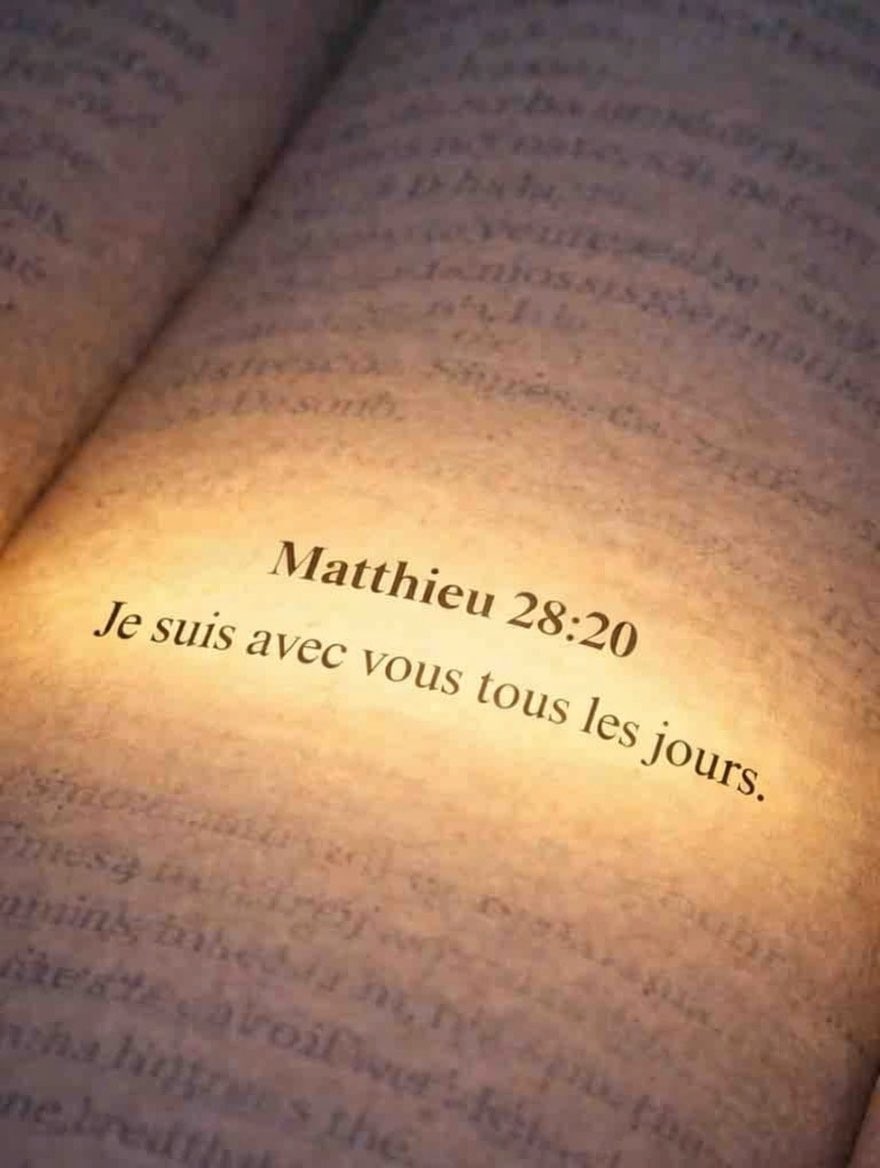 La Saine Doctrine (@sainedoctrine) on Twitter photo 