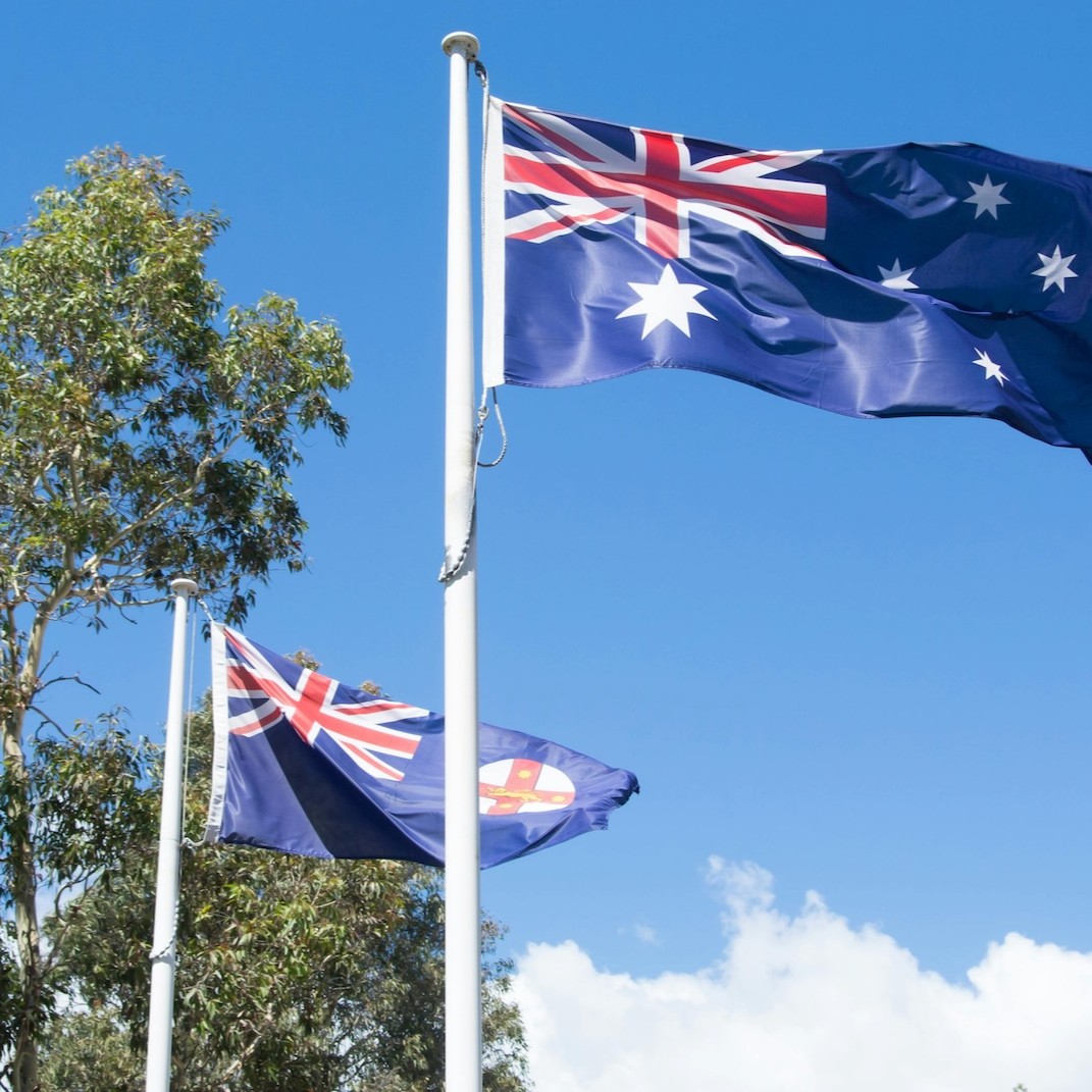 Cryptoology tweet media