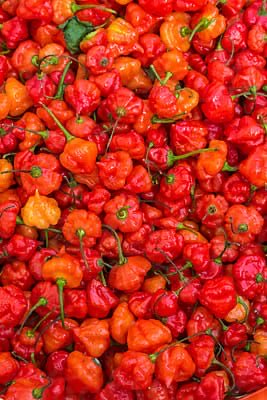 Habibi Arike tweet media