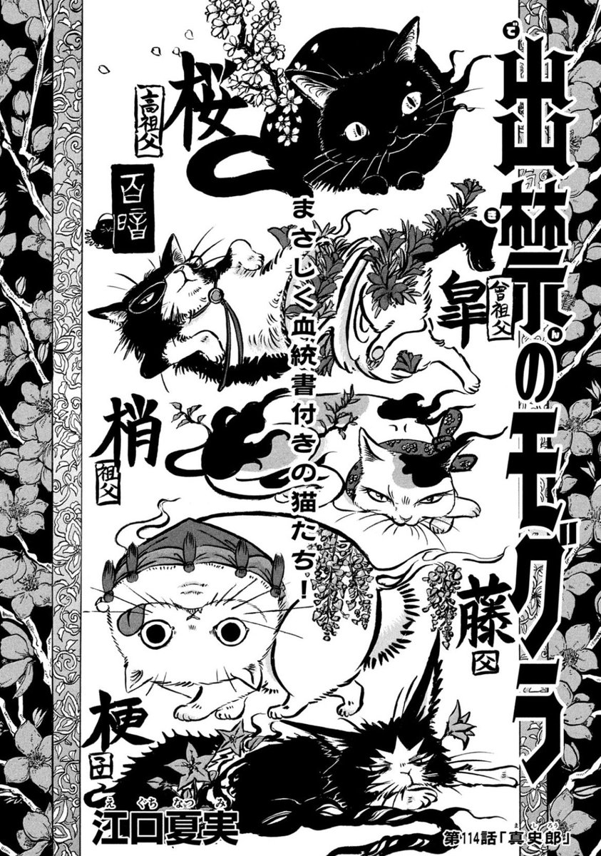 【#出禁のモグラ　掲載情報】  
第114話「真史郎」掲載のモーニング19号は本日発売です！  

藤史郎や梗史郎の先祖が背負った業とは…❔
猫附家の過去に迫るドキドキな回ですが、誌面や画面いっぱいの猫たちも…🐈‍⬛🐈🐈‍⬛🐈

今週も是非お楽しみください！