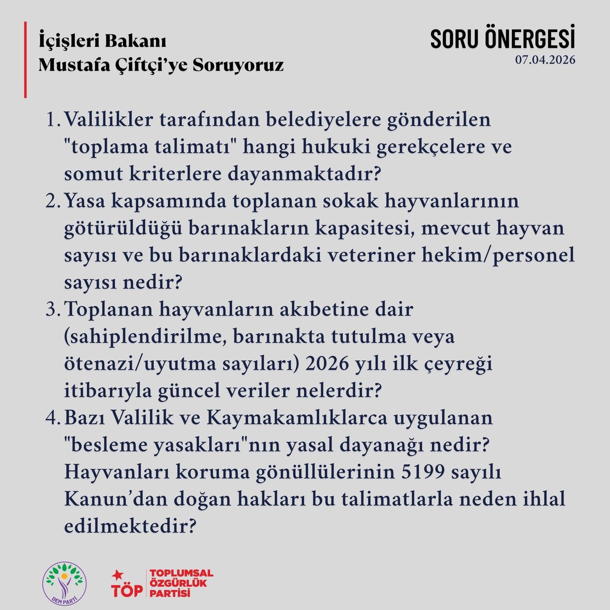 Perihan Koca tweet media