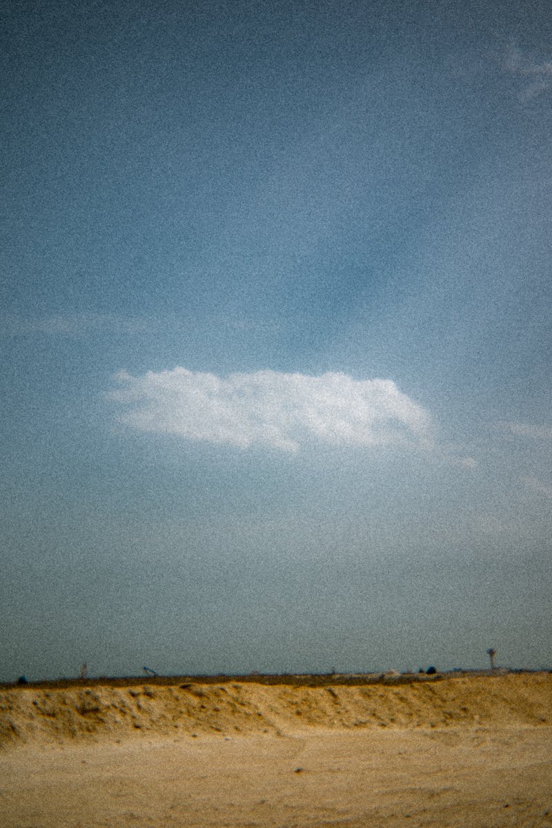 مُجاهد tweet media