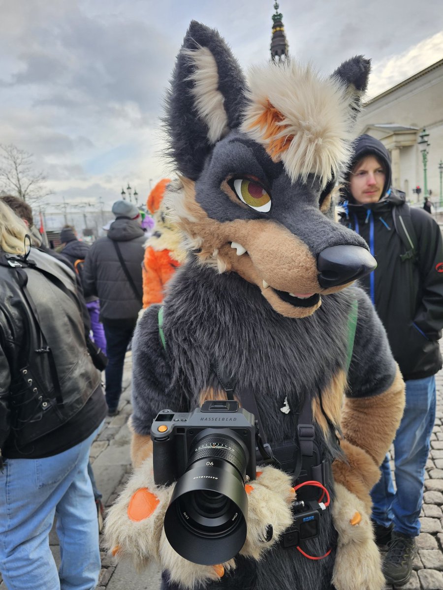 🐾 Flynn 🦊 🔜 FCL 🐾 tweet media