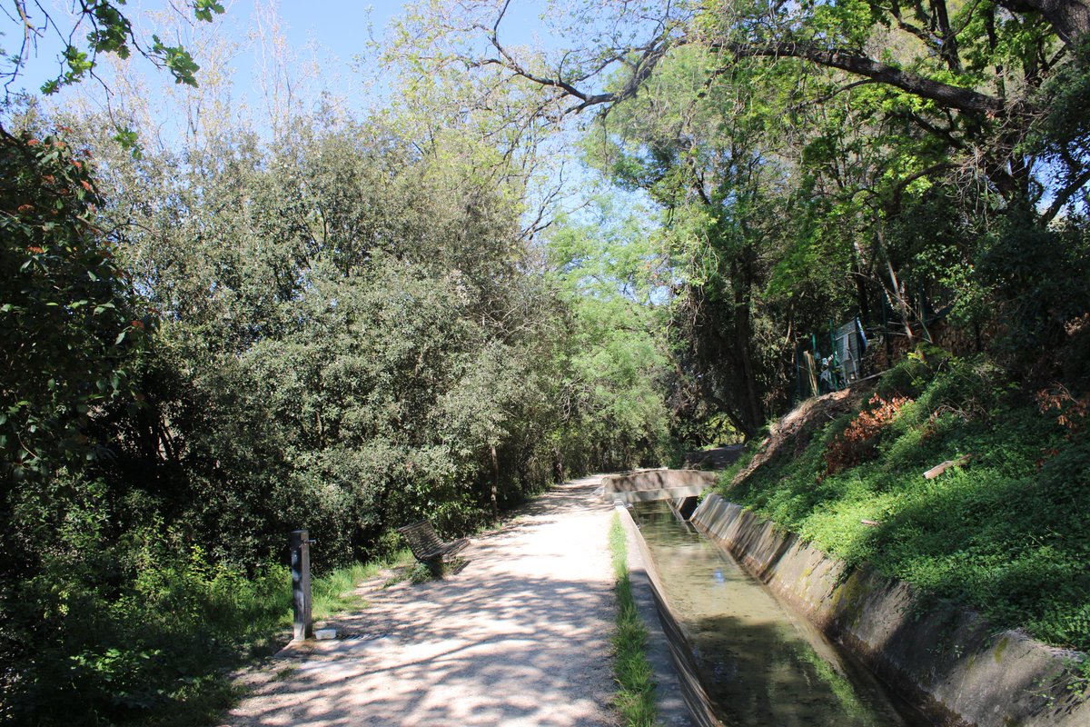 Oni-Link 📸 tweet media