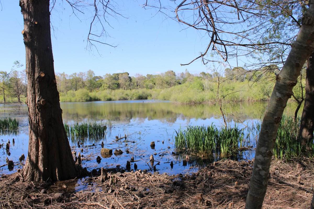 Oni-Link 📸 tweet media