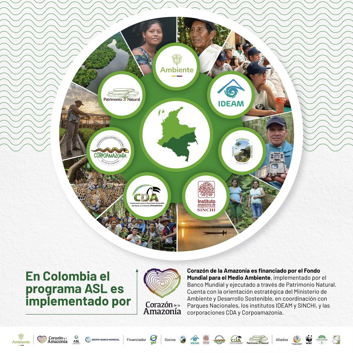 Corazón de la Amazonía tweet media