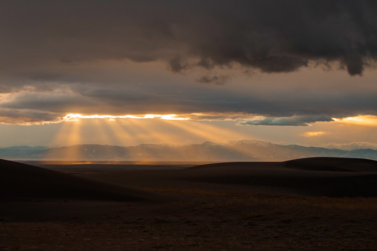 Sarah 📸 tweet media