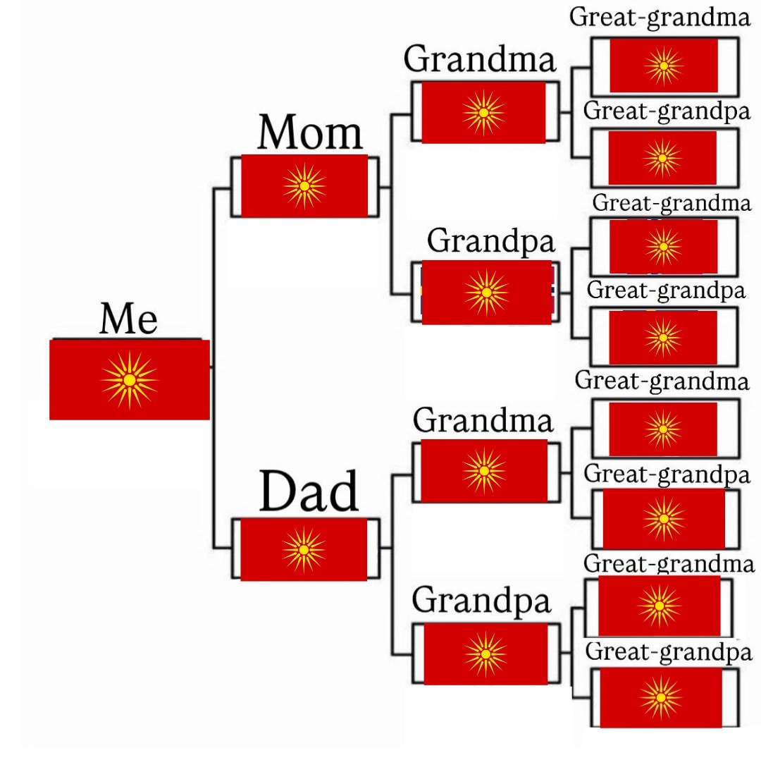 Далибор 🇲🇰 tweet media