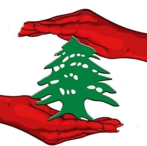 🕊 أحلام مستغانمي tweet media