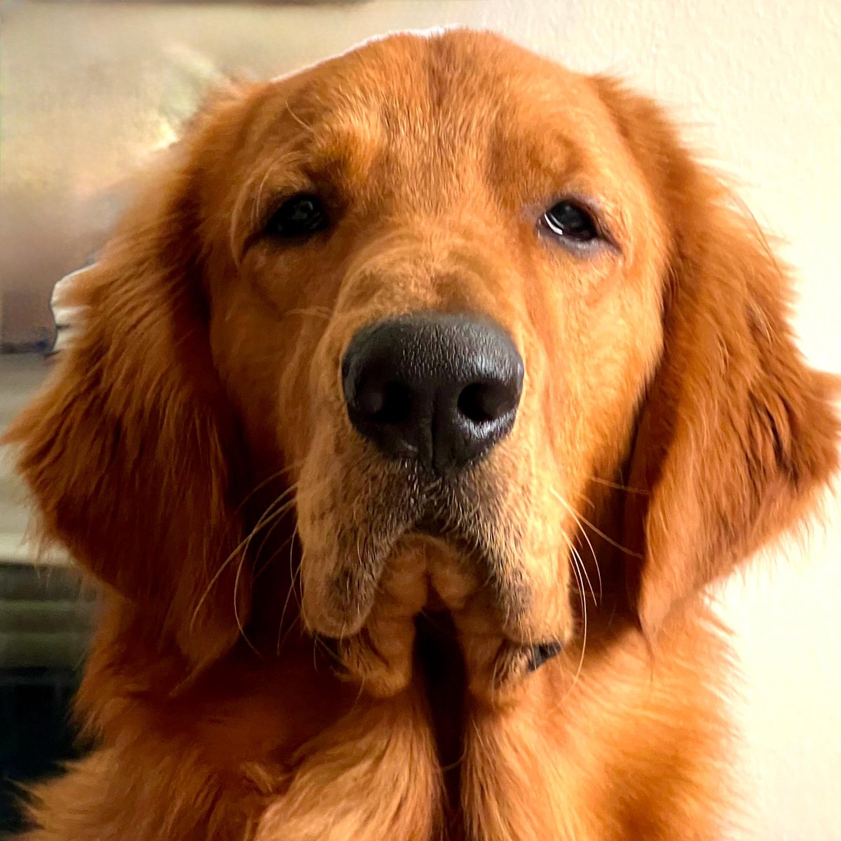 AB3 mxfiazim tweet media