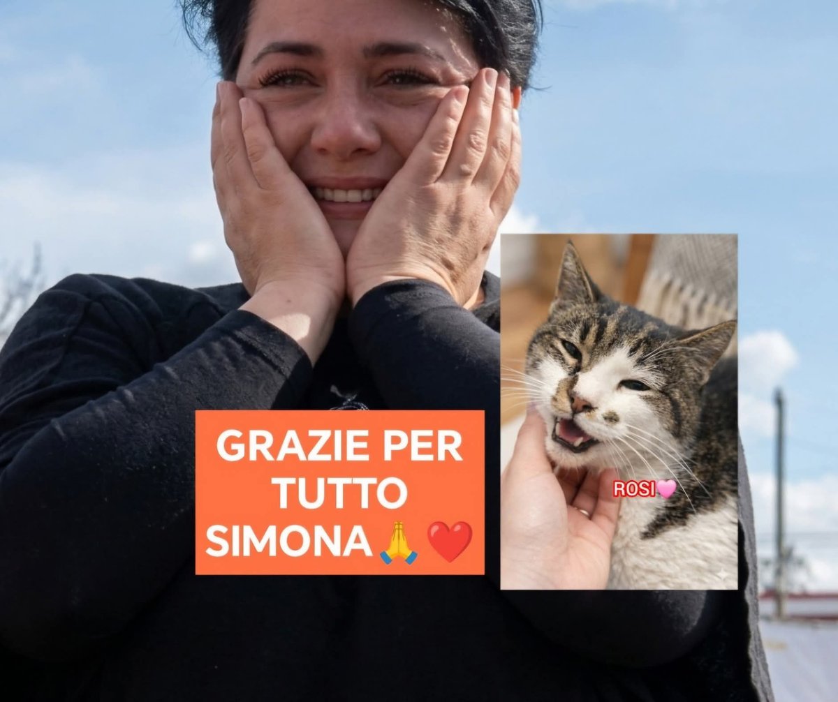 Doluccia 🦋 #credicisempre tweet media