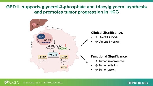 HEPATOLOGY Journal tweet media