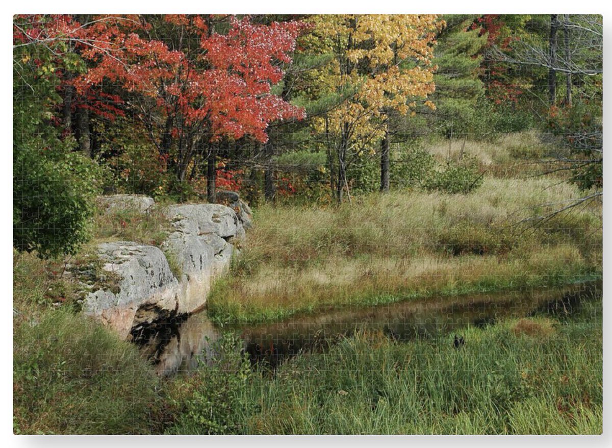 shonna99784's tweet image. Autumn Reflections by The Stream - Puzzle 1000 pcs shonnahawkinsphotography.com/featured/autum…

This work is available to order as a jigsaw puzzle at the link.

#Autumn #Reflections #Stream #Rock #Puzzle #JigsawPuzzle #Gifts #GiftIdeas #ShonnaHawkins