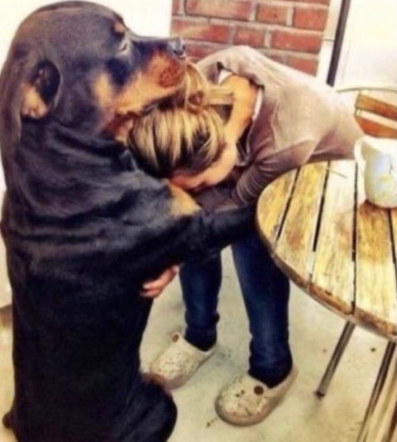 Thalassa | ☆ᵃʳᶦʳᵃⁿᵍ tweet media