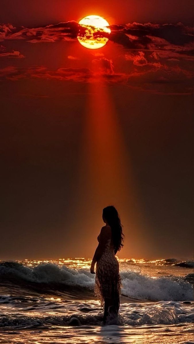 Kimberly tweet media