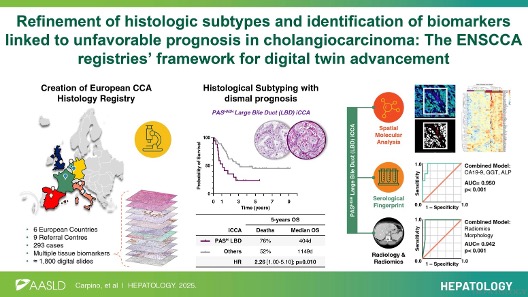 HEPATOLOGY Journal tweet media