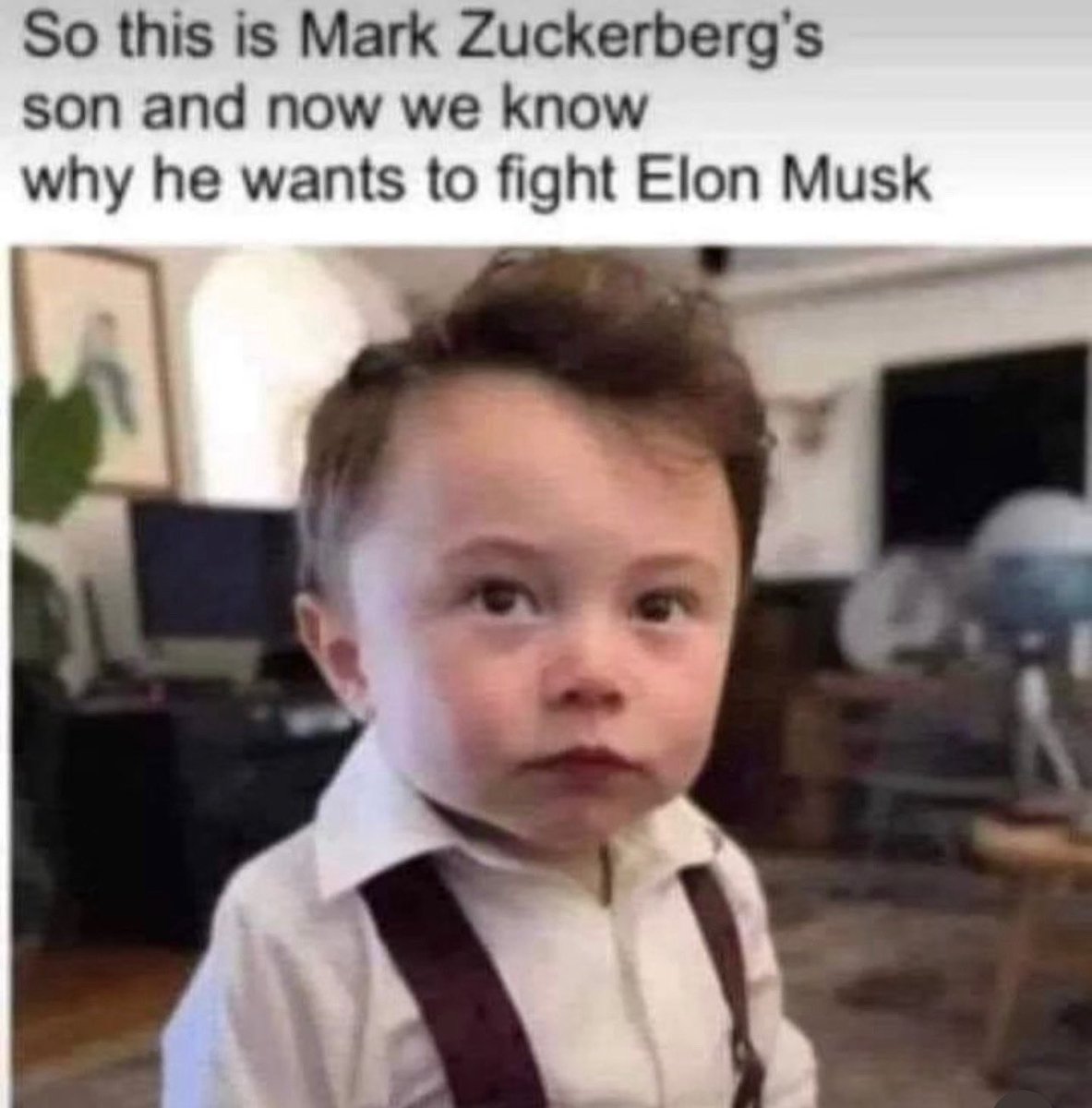 Not Elon Musk tweet media