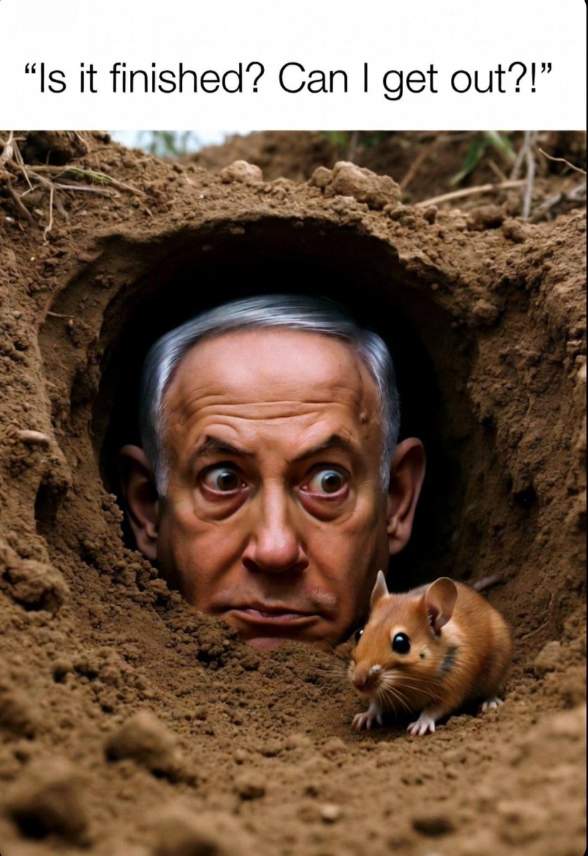 المنسي tweet media