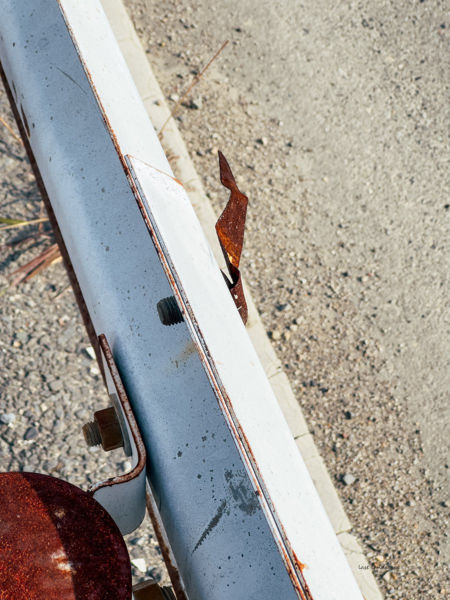 Last scape _最後の風景 tweet media