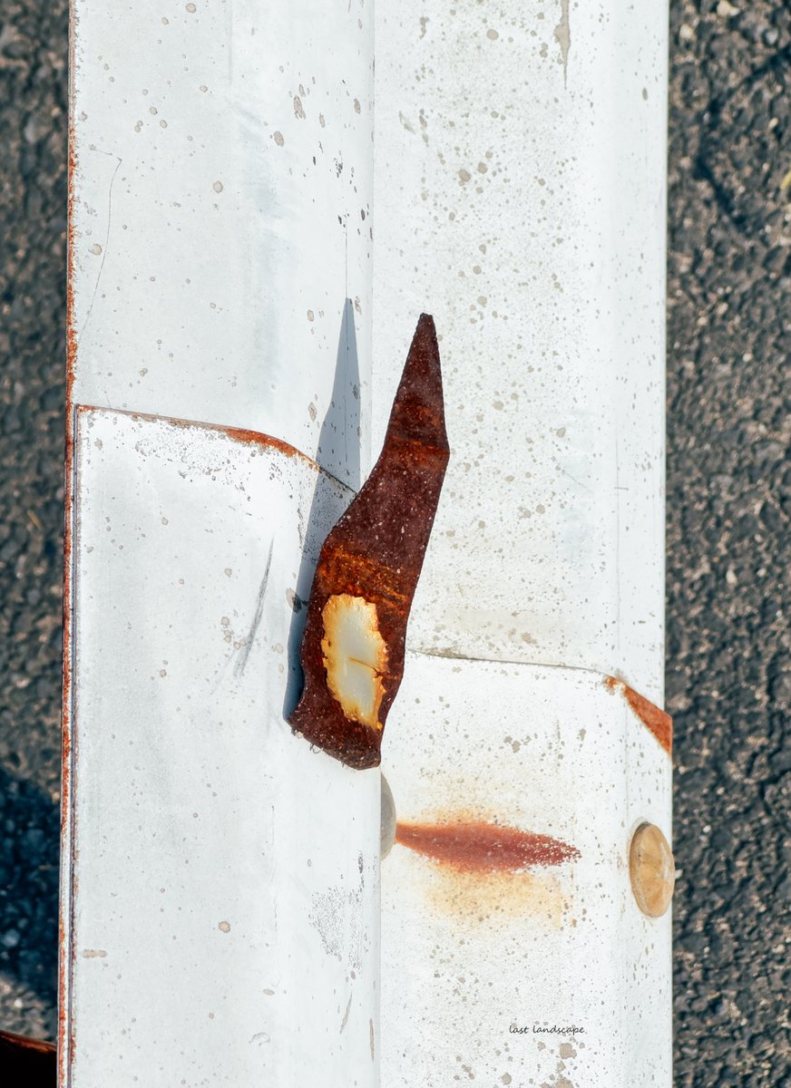 Last scape _最後の風景 tweet media