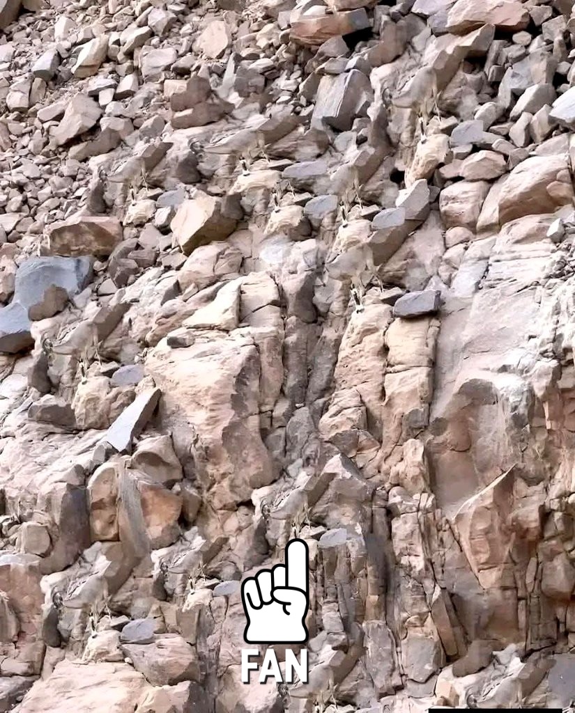 🇴🇲أبــوســـعـــود💕 tweet media