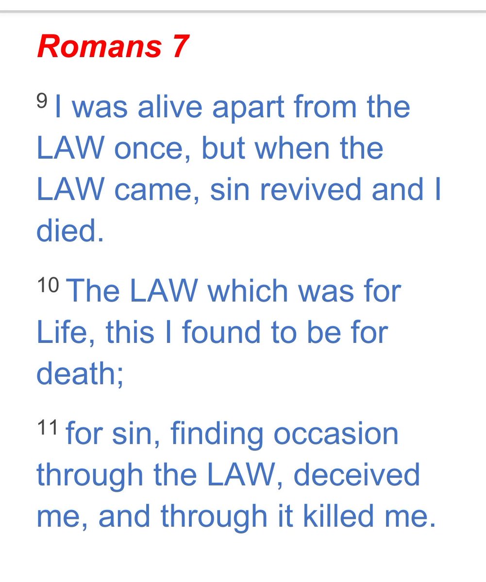 HisLifeNMe tweet media