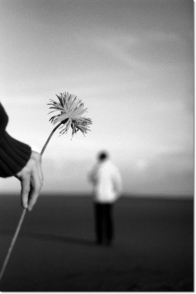 Whispers tweet media