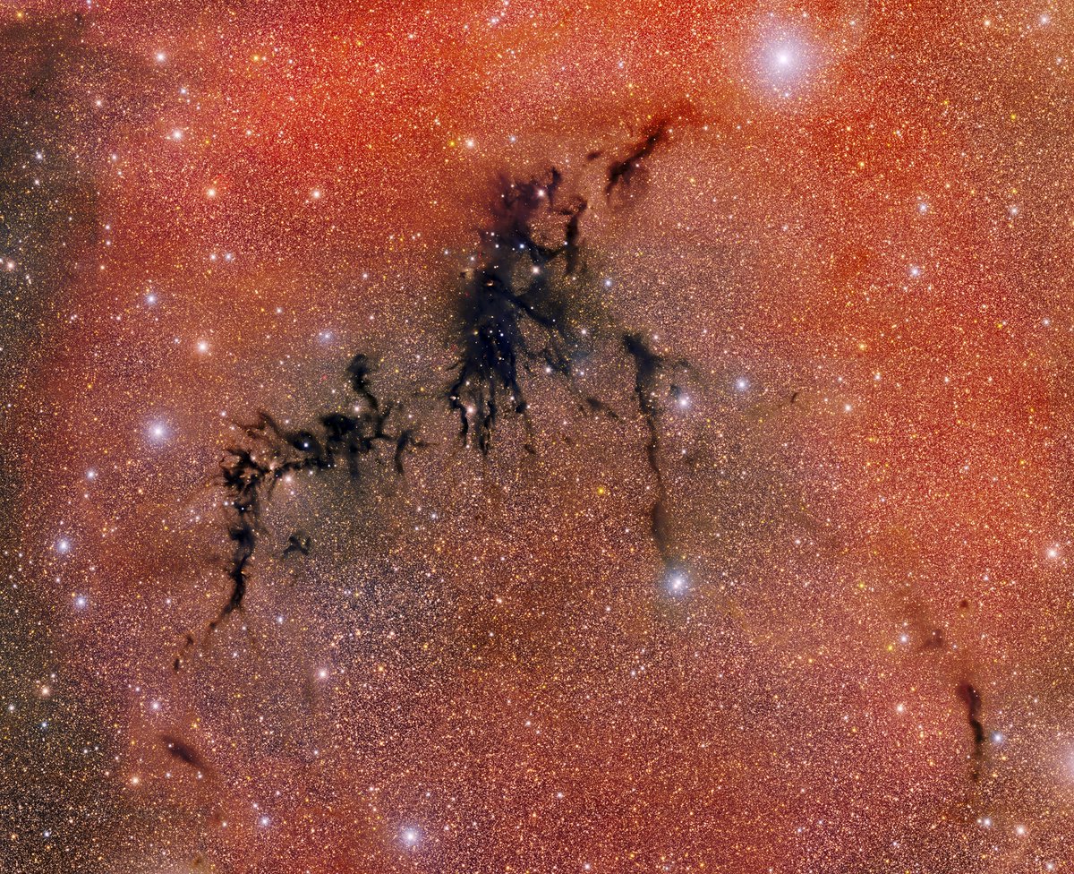 World and Science tweet media