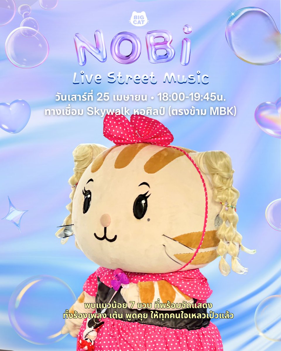 NobiBigCat tweet media