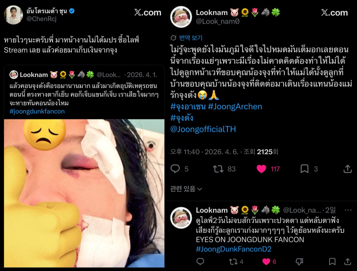 dear._.lyingcat tweet media