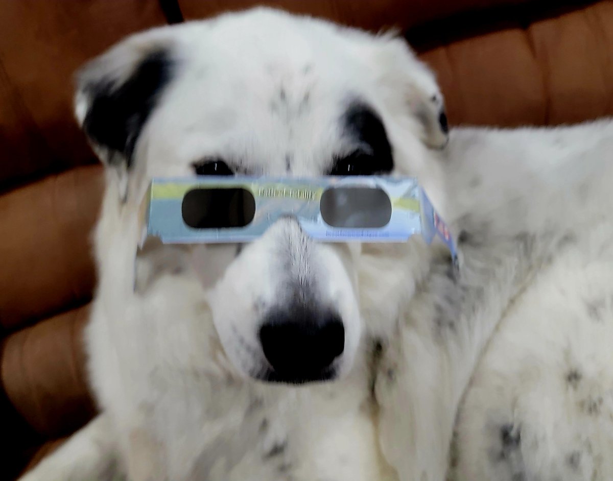 David_in_DFW's tweet image. On this day exactly two years ago. #Eclipse2024 #MAGA 👍🇺🇸🌞😎