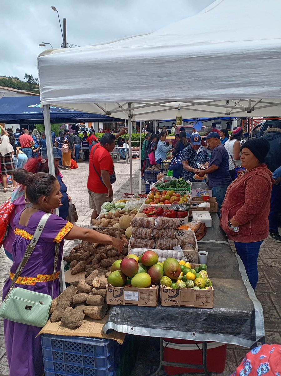 Agroferia del IMA beneficia a mil familias en Boquete