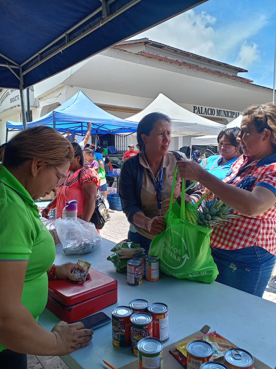 Instituto de Mercadeo Agropecuario tweet media