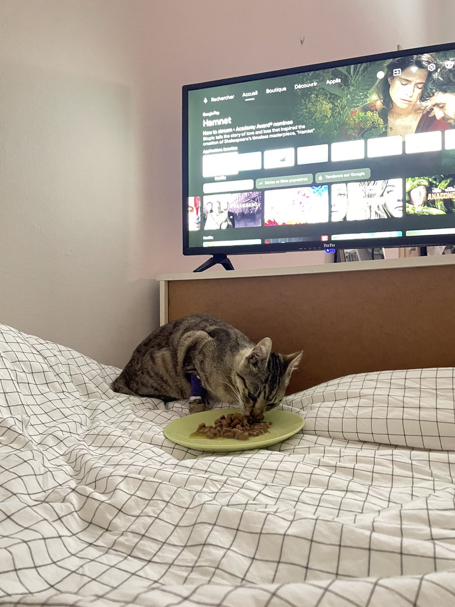 sarah 𓂀 tweet media