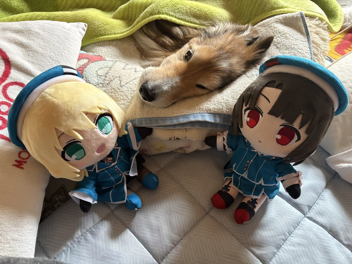 坂上シュウ Syu Sakagami 絵仕事募集中 tweet media