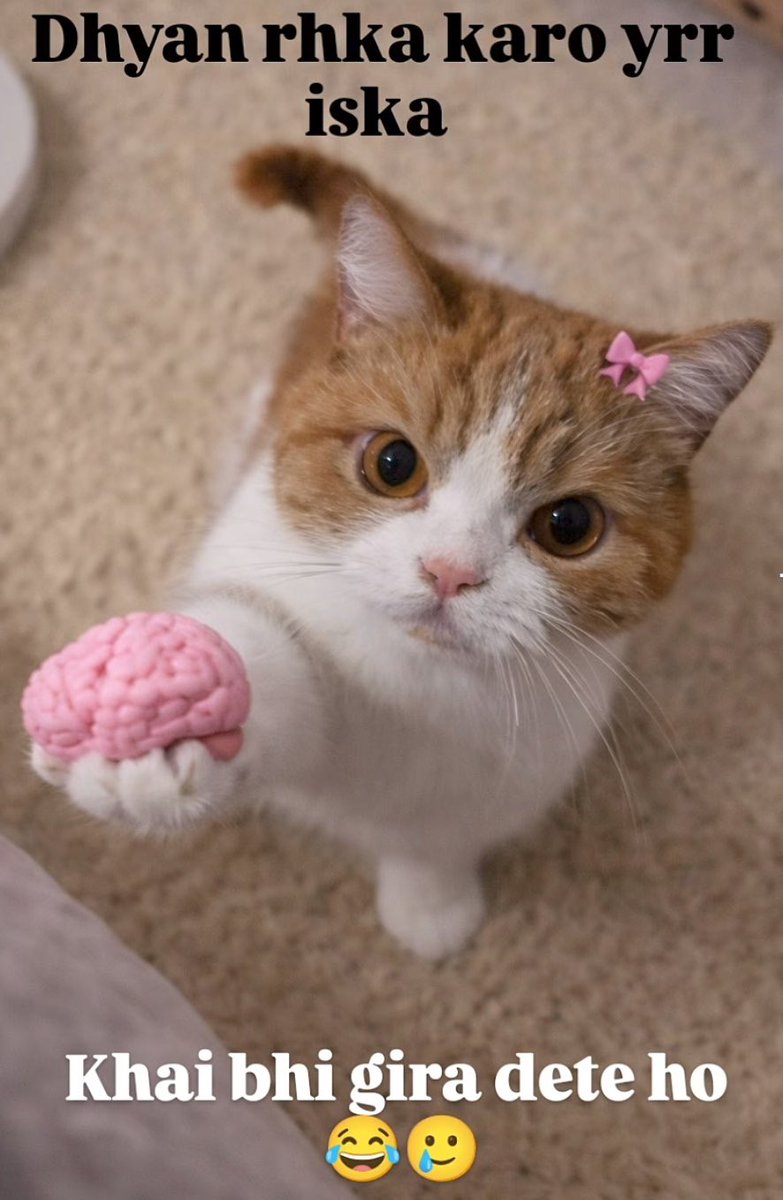 Sleepy_HanaNation tweet media