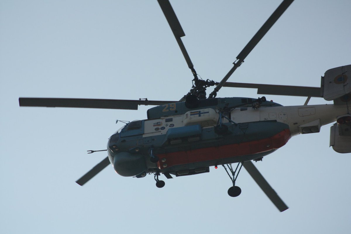 Весняний Гусь 🪿 tweet media