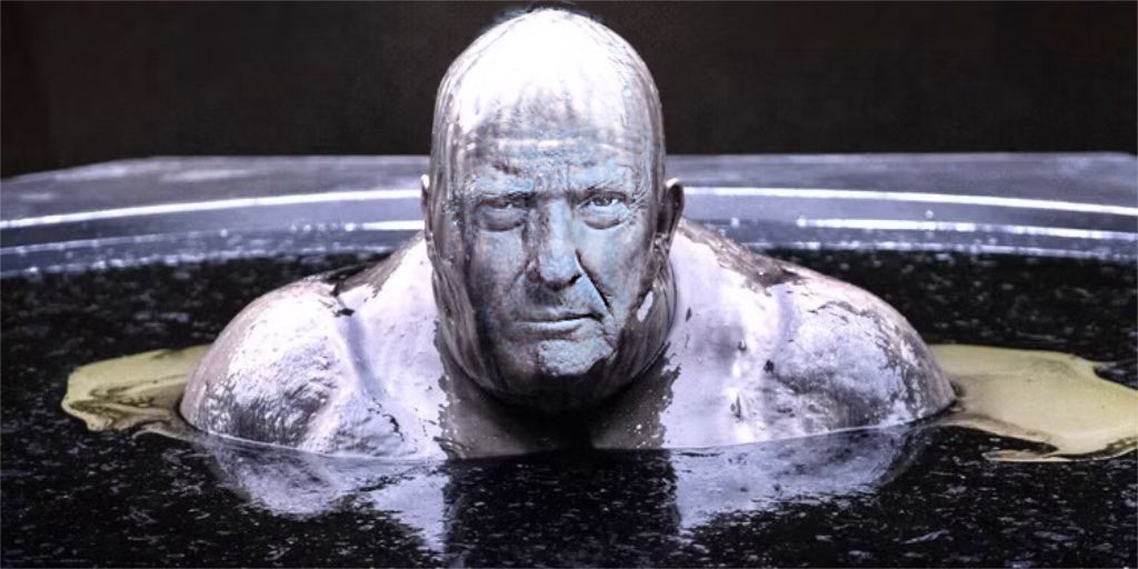 Bob 🎲🌴 tweet media