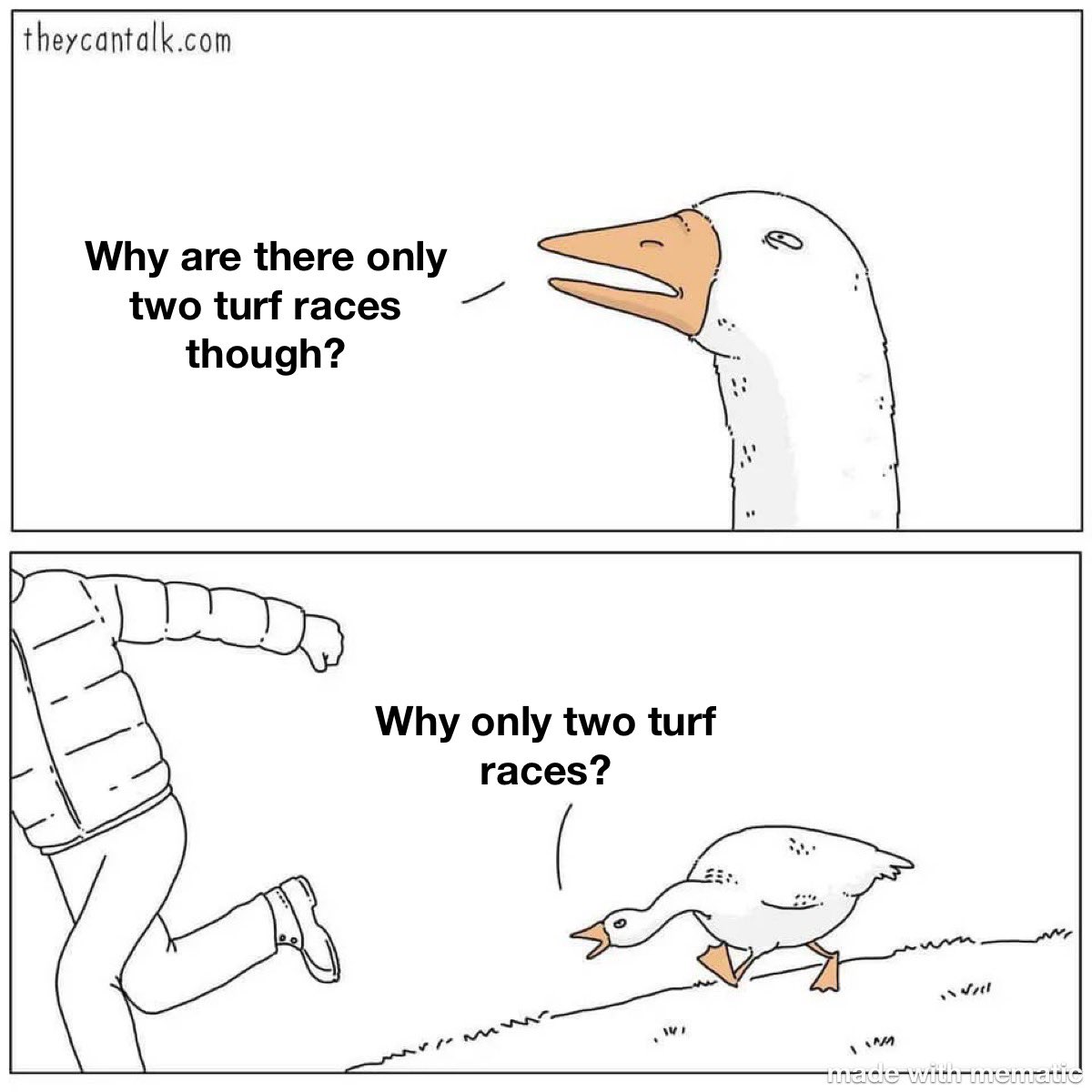 Josh Rodriguez tweet media