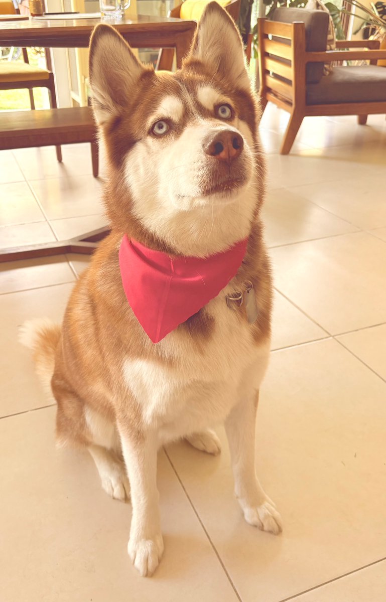 Urantia 🧜🏻‍♀️💃🏻 tweet media