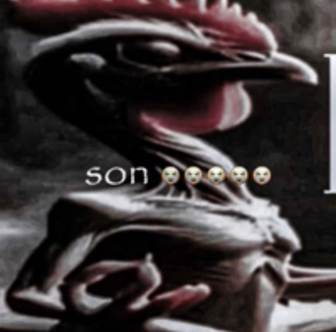 galo em baixa qualidade tweet media